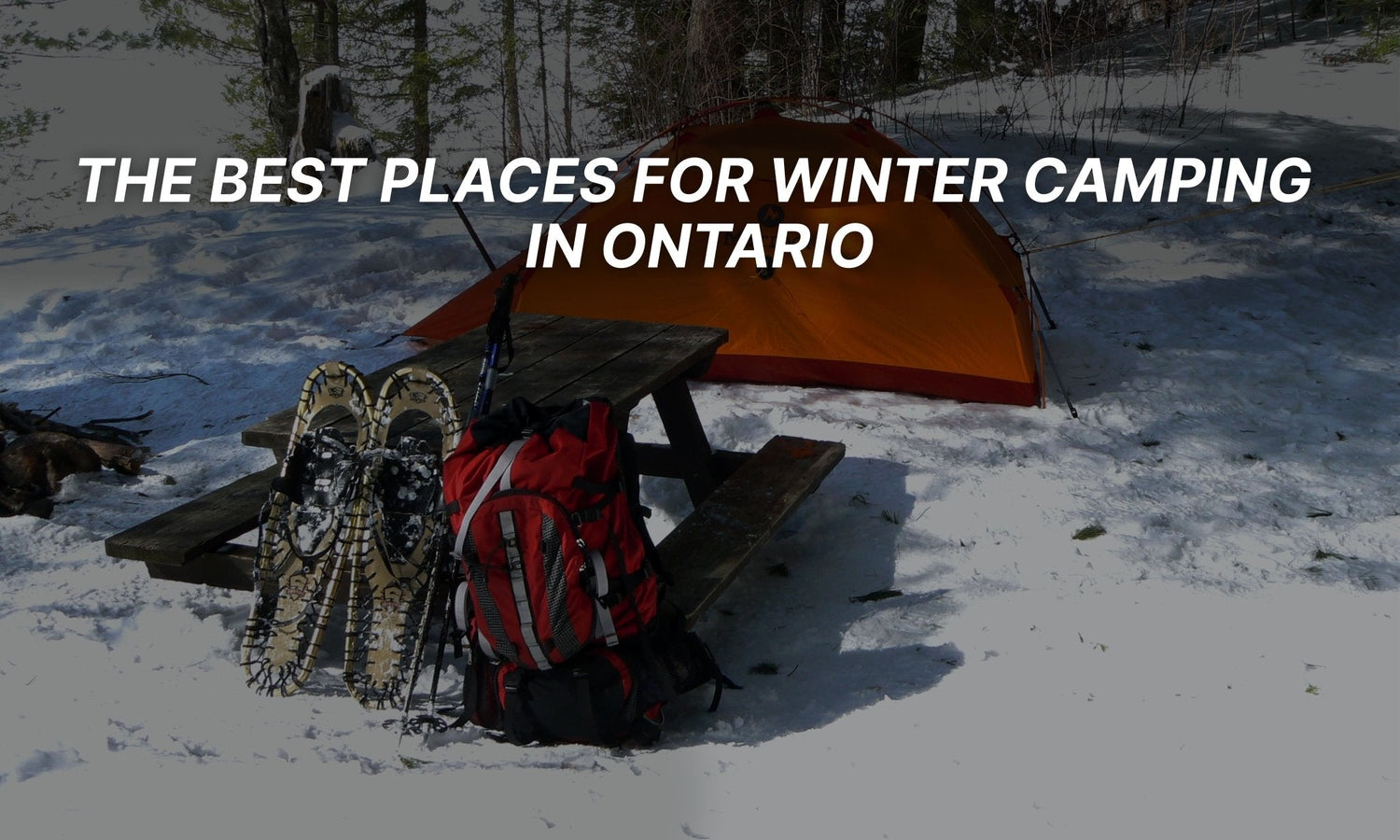 The Best Places for Winter Camping in Ontario