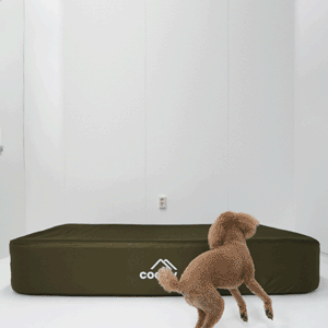 Coody Air Mattress (Forest Green) - RBM Outdoors