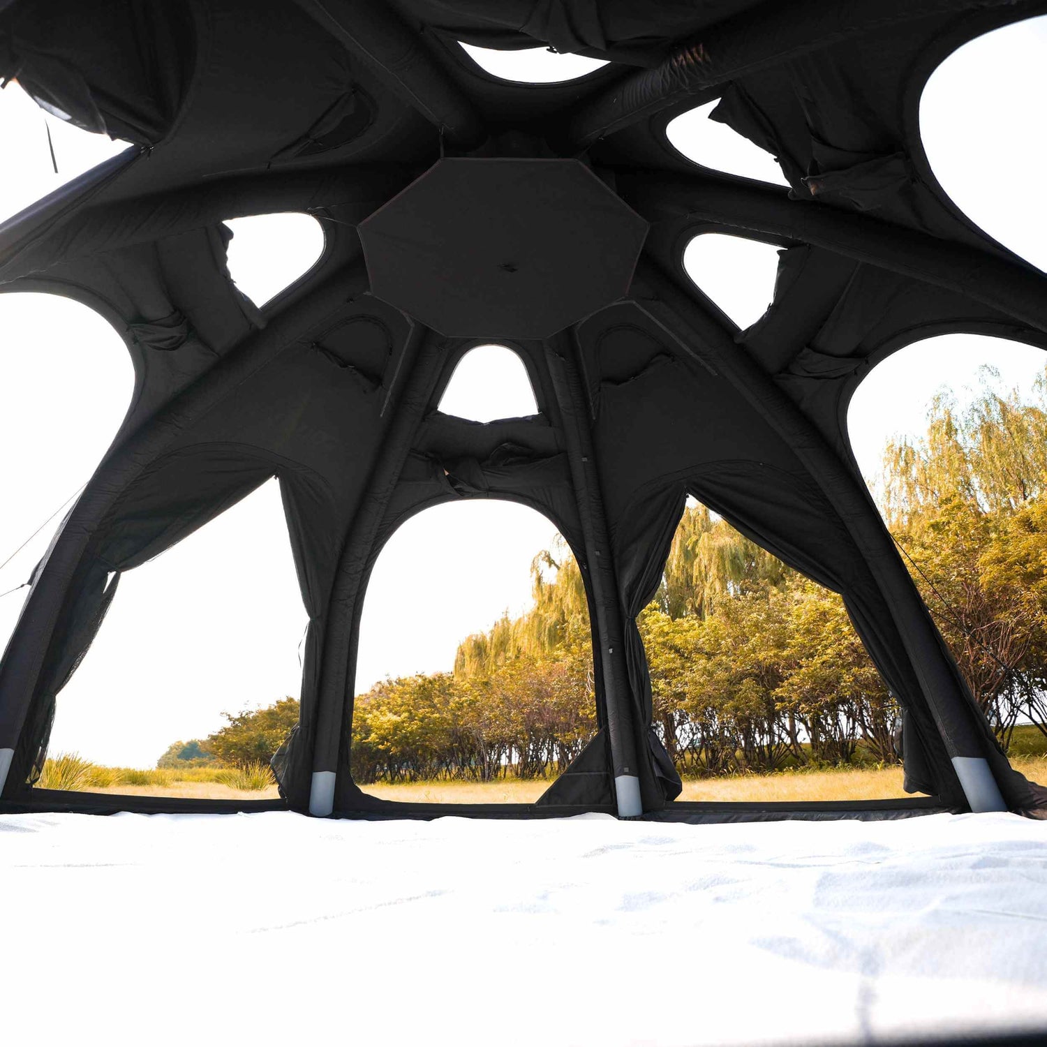 Coody Aurora Dome | RBM Outdoors Inflatable tent Octopus Black for 2-4 person