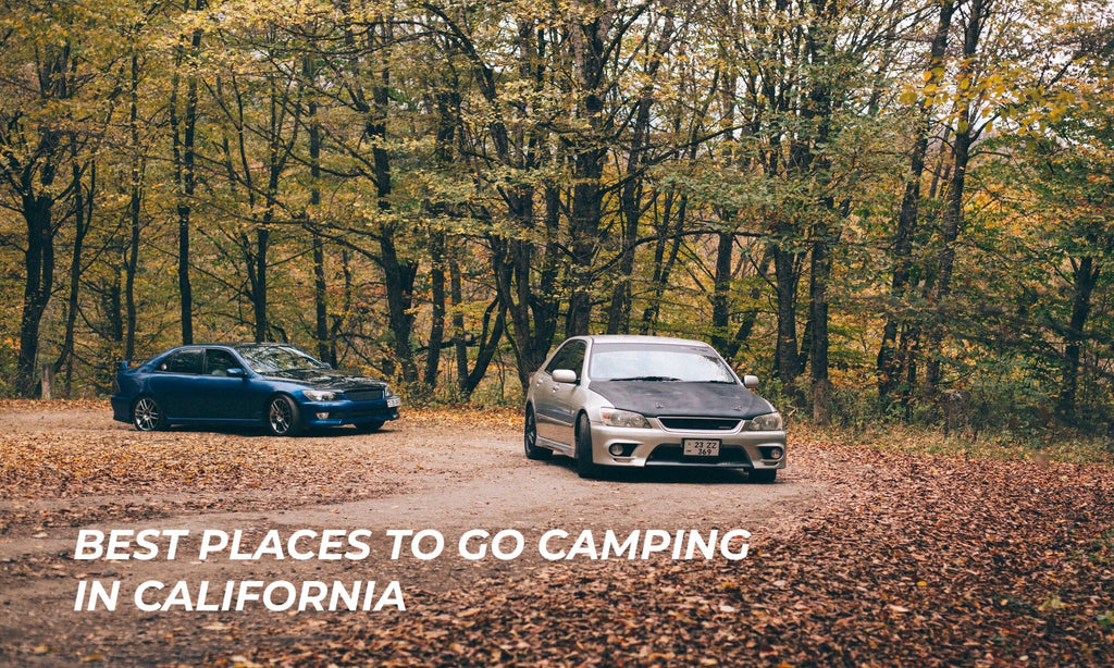 Best Places To Go Camping in California
