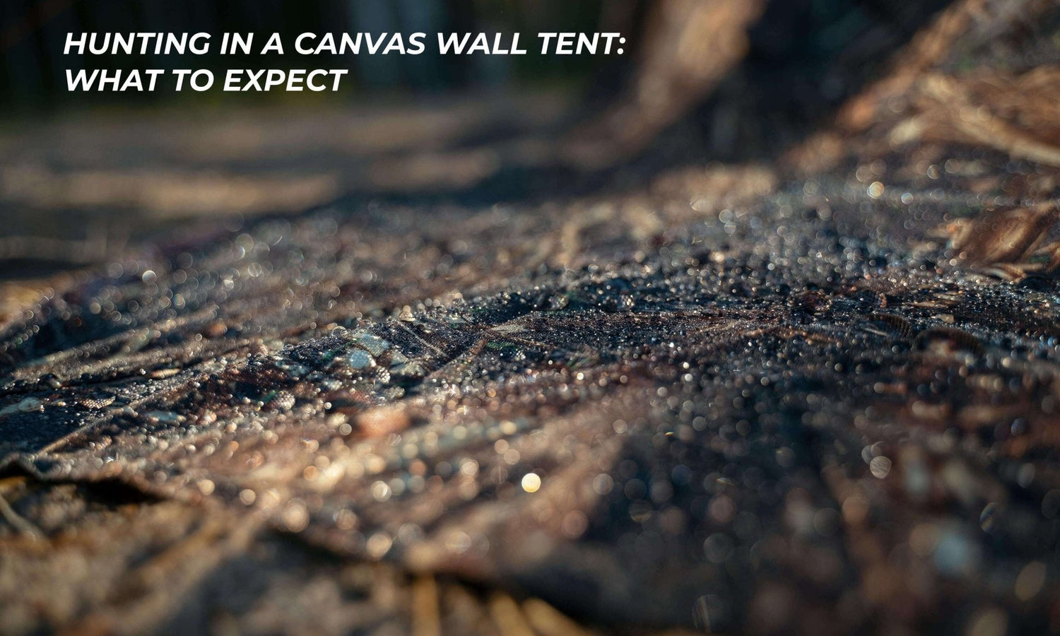 Hunting in a canvas wall tent: what to expect
