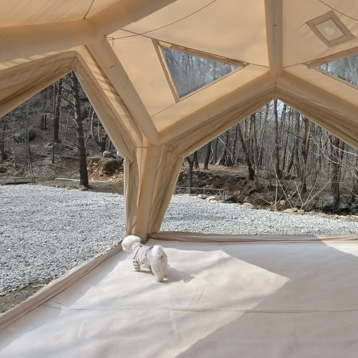 Coody Hub Beige (2-6 person) + Ground Sheet PVC + Carpet Coody Hub + Electric Pump - RBM Outdoors